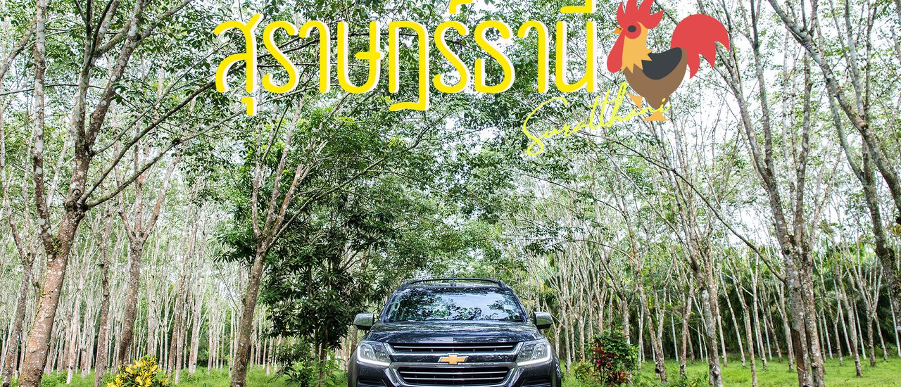 cover พากันเที่ยวสุราษฎร์ธานี จังหวัดนี้ไม่ได้มีดีแค่หอยใหญ่ 👫