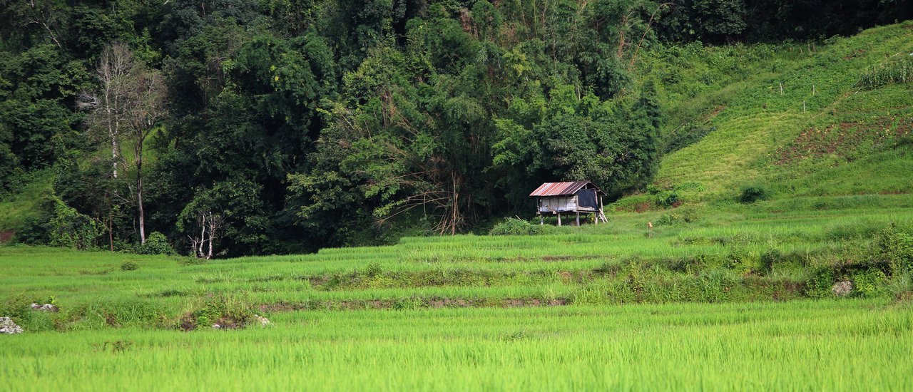 cover แม่กลางหลวงฮิลล์ กาแฟสมศักดิ์ น้ำตกวชิราธาร