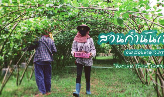 Cover "จิบกาแฟ รับลม ชมสวนหม่อน" ที่ สวนกำนันเทพ จ.สระแก้ว...