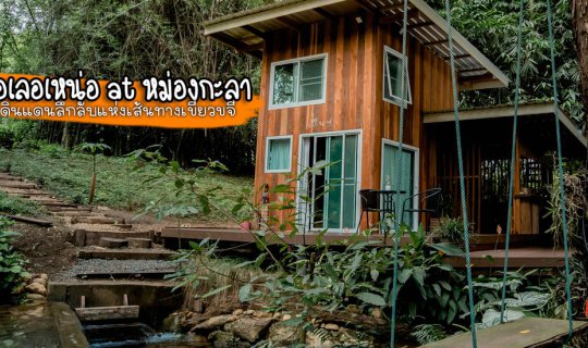 Cover โลเคชั่นใหม่ ดินแดนลึกลับแห่งเส้นทางเขียวขจี ทองผาภูมิ กาญจนบุรี เญ่...