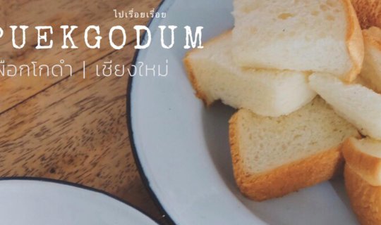 cover โกเผือกโกดำ GopuekGodum - เชียงใหม่