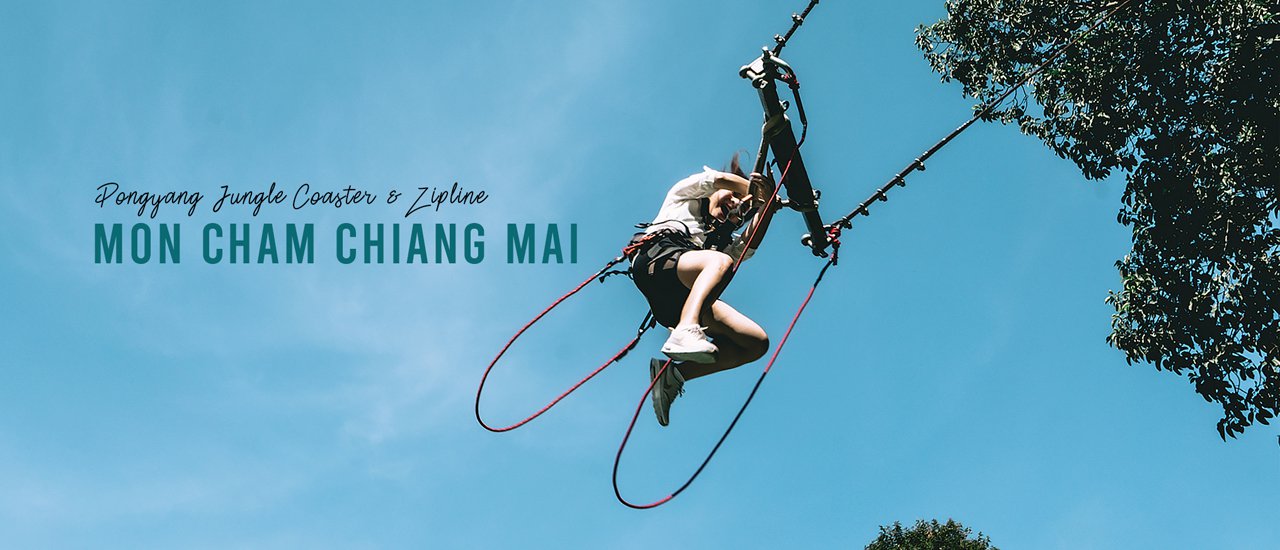 cover พาไปเสียว...กรี๊ดแตก‼ กิน นอน เล่น เที่ยวคาเฟ่สุดชิล ครบจบที่เดียว Pongyang Jungle Coaster Zipline