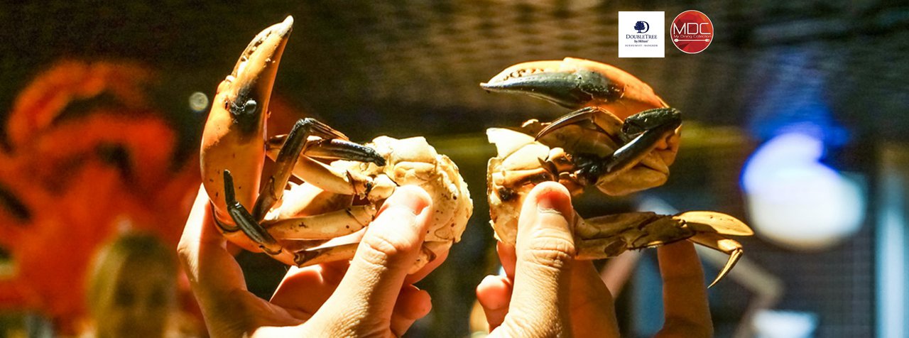 cover All New ! - Cut the Crab - DEE LITE @ DoubleTree by Hilton Sukhumvit