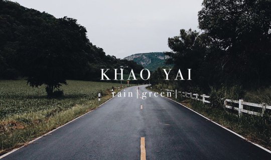 profile cover
