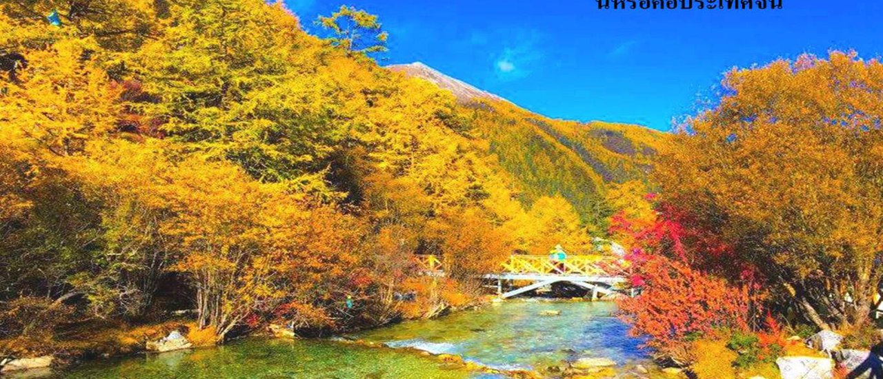 cover รีวิวทริปที่สนุกที่สุดในชีวิต แบกเป้ เที่ยวจีน คุนหมิง ลี่เจียง แชงกรีล่า ยูนาน ย่าติง (ช่วง ต.ค. ใบไม้เปลี่ยนสี 10 วัน 25,000 บาท/คน)