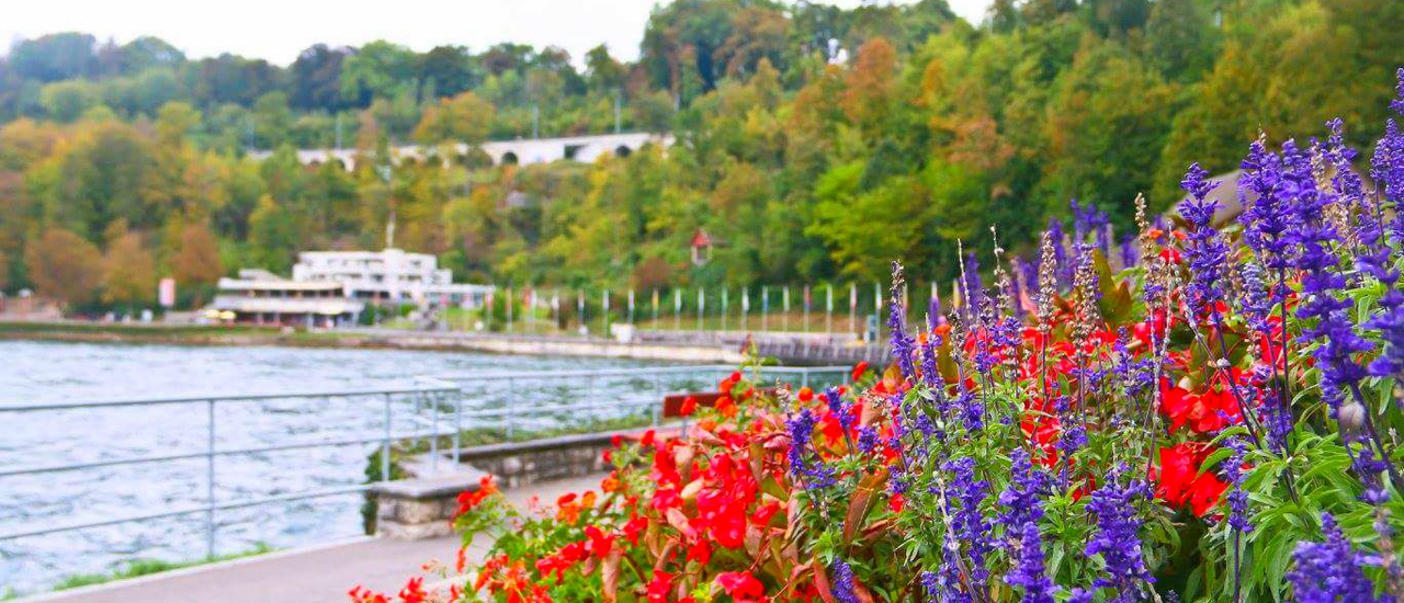 cover วิเคราะห์เ เจาะลึก ค่าใช้จ่าย เที่ยว ยุโรป เลือกไปเอง หรือ ไปกับทัวร์ดีกว่ากัน (สำหรับ 8 วัน 4 ประเทศ งบไม่เกิน 46,000 บาท/คน รวมทุกอย่าง)