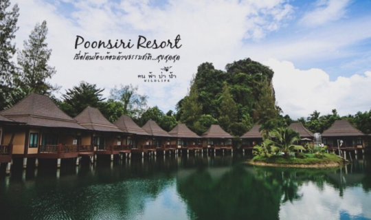 cover Poonsiri Resort เมื่อโดนโอบล้อมด้วยธรรมชาติ…สุขสุดสุด