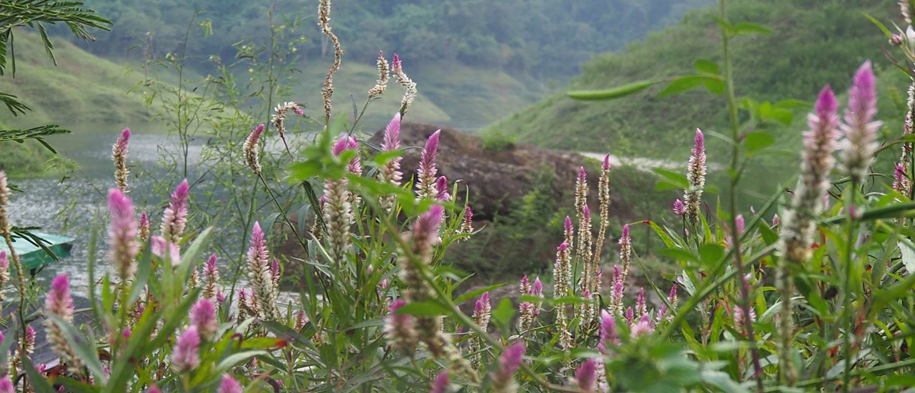 cover รีวิว เที่ยว One Day Trip เขาช่องลม ยามบ่าย ดีจริง ได้ชมพระอาทิตย์ตกดินด้วย (เขื่อนขุนด่านฯ จ.นครนายก)