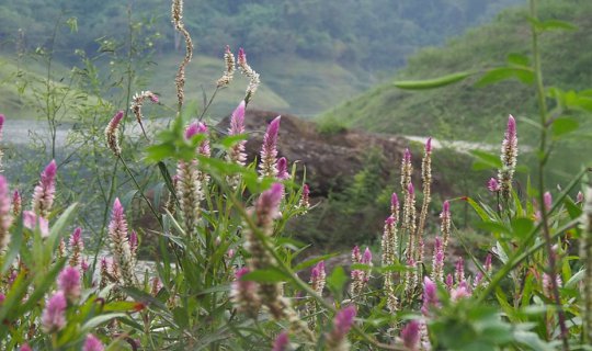 cover รีวิว เที่ยว One Day Trip เขาช่องลม ยามบ่าย ดีจริง ได้ชมพระอาทิตย์ตกดินด้วย (เขื่อนขุนด่านฯ จ.นครนายก)