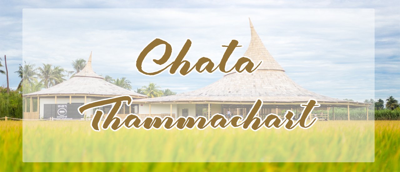 cover “Chata Thammachart” ร้านกาแฟบรรยากาศธรรมชาติกลางทุ่งนา