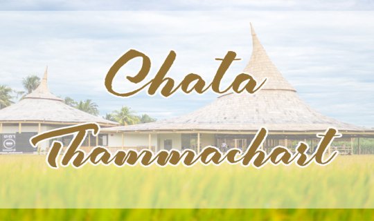 cover “Chata Thammachart” ร้านกาแฟบรรยากาศธรรมชาติกลางทุ่งนา