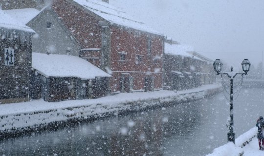 Cover Hokkaido: 2 Nights New Year's Eve along the Otaru Canal...