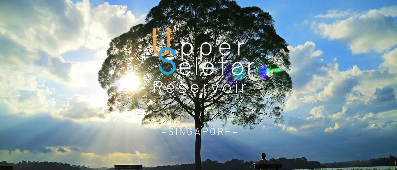 cover Singapore does not only have Merlion Episode 2 :: Lone tree at Upper Seletar Reservoir Park