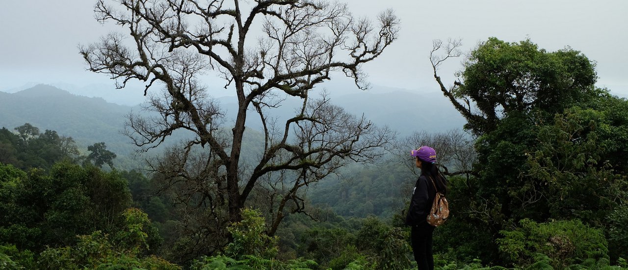 cover ชีวิตดี๊ดี ๆ ที่ .... แม่กำปอง