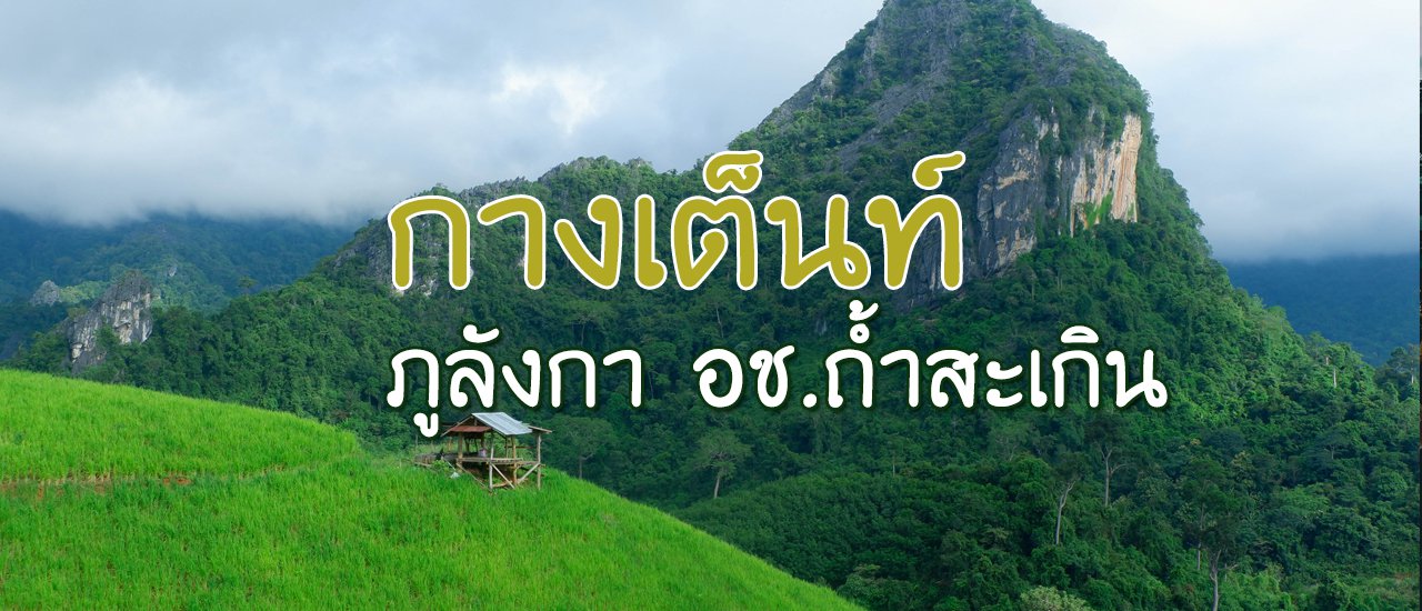 cover กางเต็นท์ที่ภูลังกา