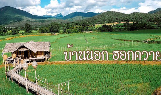 cover นอนกลางทุ่งที่ บ้านนอกฮอกควายเมืองคอง