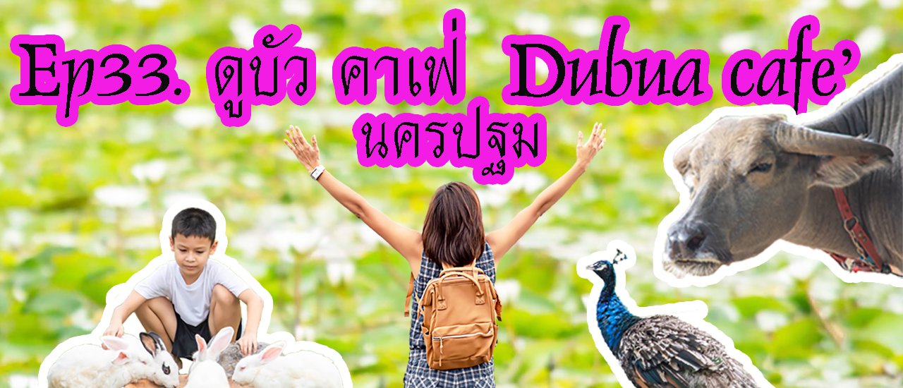 cover #ดูบัวคาเฟ่ #Dobua นครปฐม มากกว่าแค่การดูบัว แต่เป็นแหล่งเรียนรู้ทางการเกษตรอีกสถานที่หนึ่ง