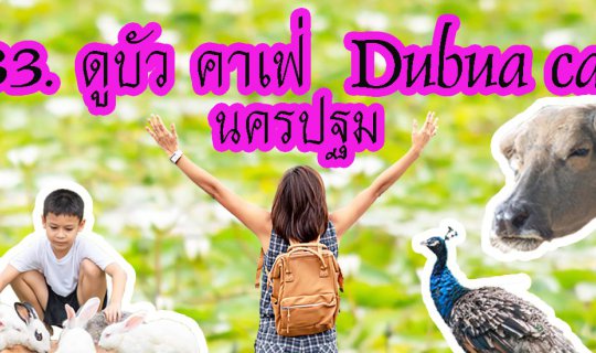 cover #ดูบัวคาเฟ่ #Dobua นครปฐม มากกว่าแค่การดูบัว แต่เป็นแหล่งเรียนรู้ทางการเกษตรอีกสถานที่หนึ่ง