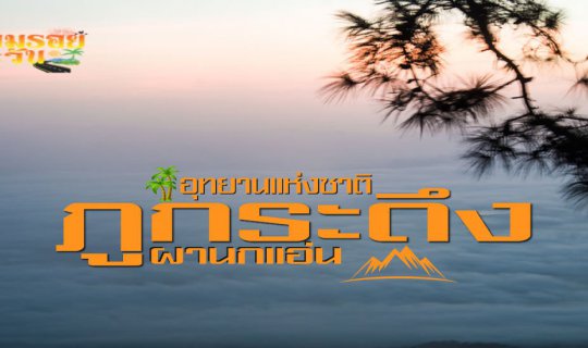 cover การผจญภัยเล็กๆๆ ในป่าใหญ่