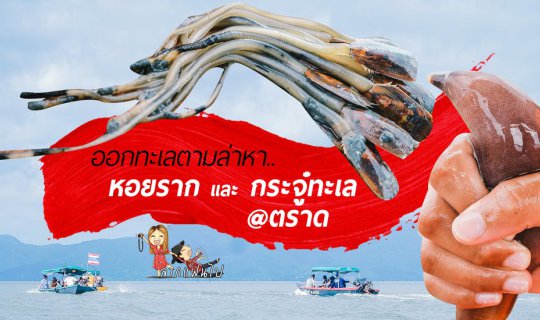 cover ลากแฟนไปออกตาล่าหอยรากและกระจู๋ทะเลหน้าตาประหลาดแต่กินได้อร่อยด้วย ที่จังหวัดตราดกันจ้า