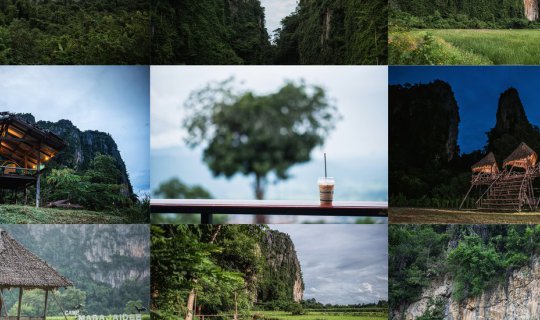 Cover นอนแคมป์หมาบ้าตามหาหัวใจที่เนินมะปราง...