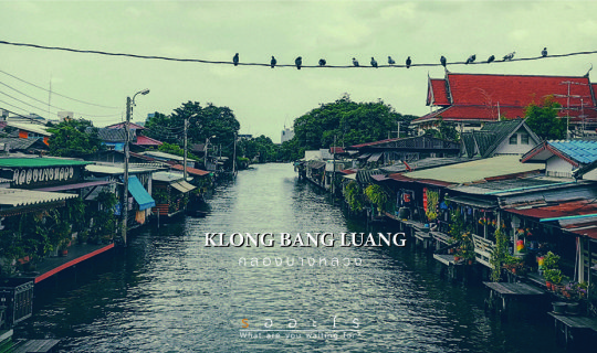 Cover EP:5 คลองบางหลวง ของดีใกล้ตัว...ที่เกือบจะลืม...