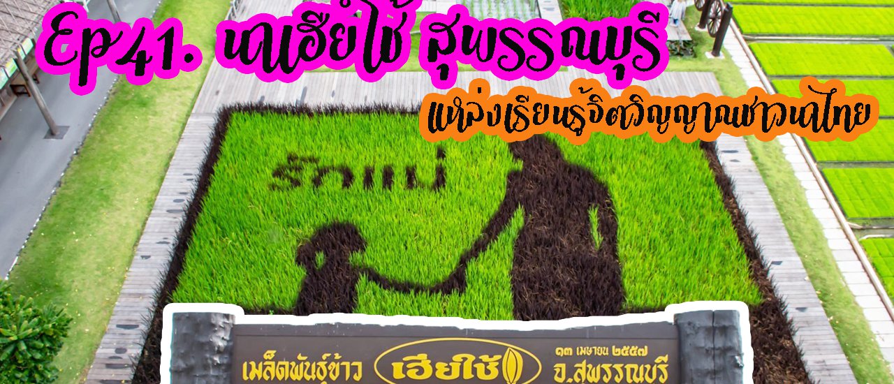 cover #นาเฮียใช้ สุพรรณบุรี เป็นศูนย์การเรียนรู้วิถีชีวิต และจิตวิญญาญชาวนาไทย ที่เป็นแหล่งท่องเที่ยว