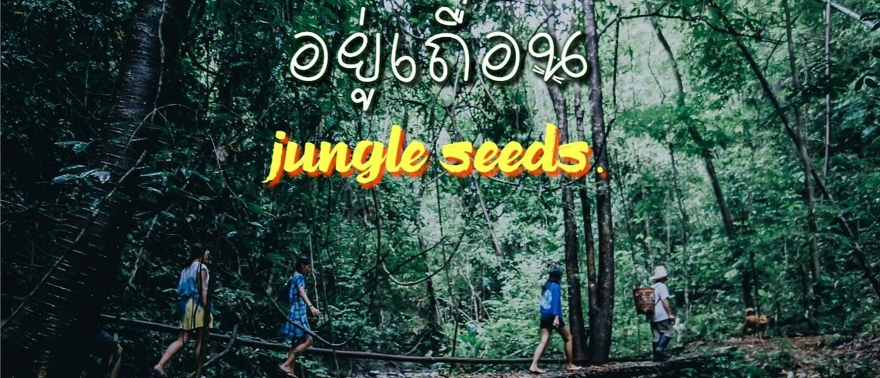 cover อยู่เถื่อน ณ สวนเกาะ  ชีวิตง่าย ๆ ที่ลงตัว