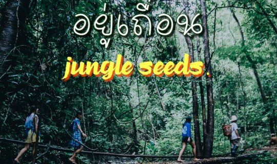 cover อยู่เถื่อน ณ สวนเกาะ  ชีวิตง่าย ๆ ที่ลงตัว