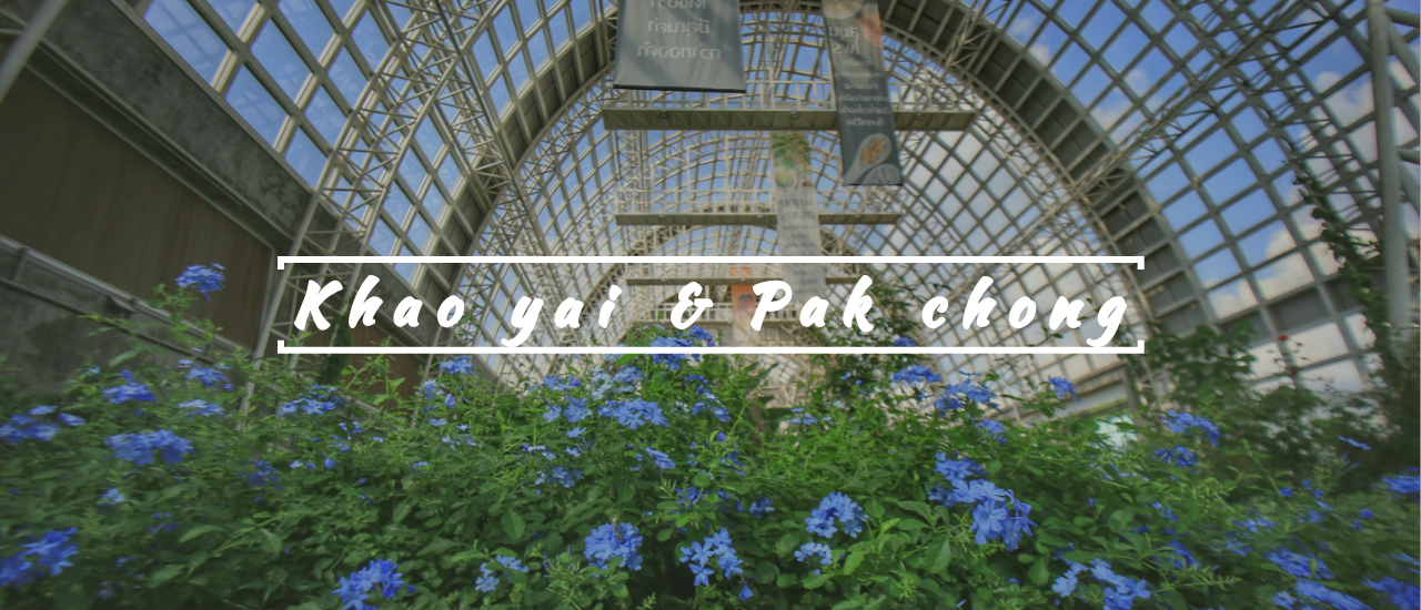 cover จากโคราชถึงปากช่อง...ที่เที่ยวลับๆ ที่น้อยคนนักเข้าไม่ถึง