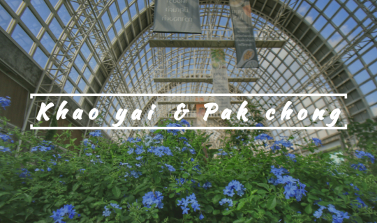 cover จากโคราชถึงปากช่อง...ที่เที่ยวลับๆ ที่น้อยคนนักเข้าไม่ถึง