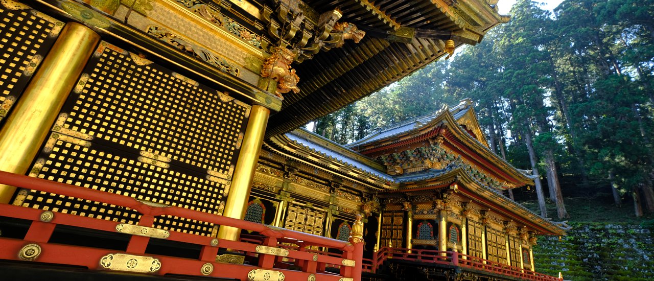 cover 1 Night in Nikko with Nikko Pass All Area