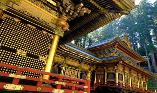 Cover 1 Night in Nikko with Nikko Pass All Area...