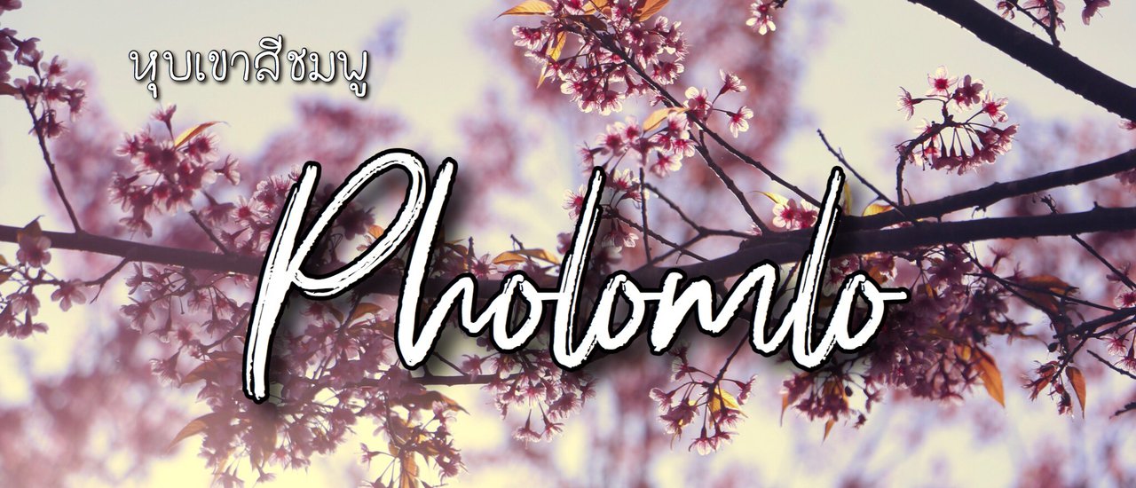 cover ❝ ที่นี่คือ หุบเขาสีชมพู ภูลมโล ❞