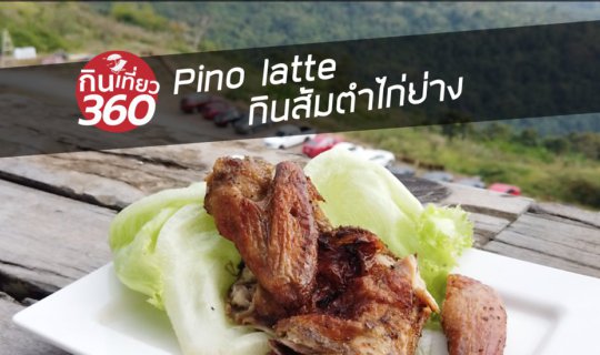 cover ​Pino latte ส้มตำไก่ย่าง ลอยฟ้า