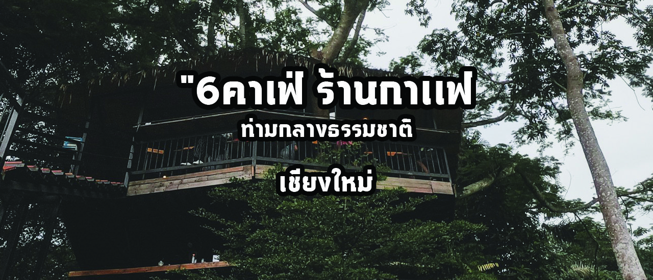 cover "6คาเฟ่ ร้านกาเเฟ เชียงใหม่ ท่ามกลางธรรมชาติ