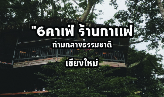 cover "6คาเฟ่ ร้านกาเเฟ เชียงใหม่  ท่ามกลางธรรมชาติ