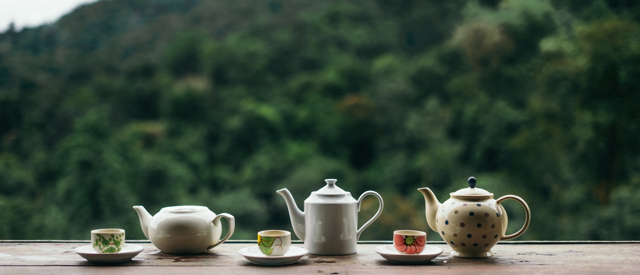 cover ชาร์จพลังกับไร่ชาลุงเดช l เชียงใหม่ l สายเทียวสายแดก