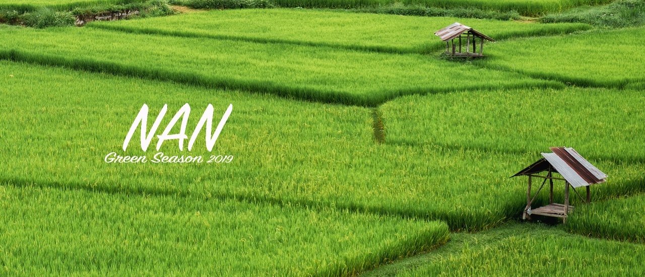 cover น่าน หน้าฝน NaN Green Season