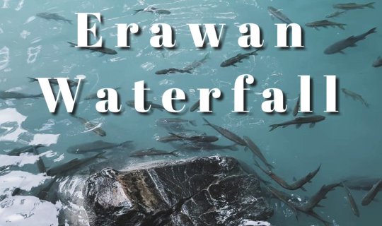 cover กำเงิน500นอนเอราวัณแบบสะใจ 2วัน1คืน ไม่มีรถส่วนตัว