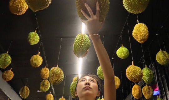 cover STREET DURIAN DINING IN MALAYSIA !!