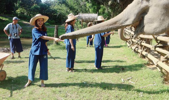 cover Walk Camp : ไปพักใจที่ไร่อ้อมกอดภูเขา By Storyบันทึกไว้เราไปกัน ❤