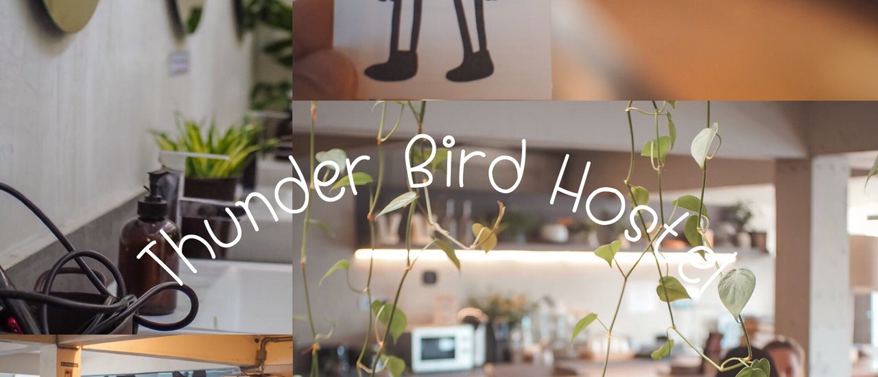 cover Thunder Bird Hostel ที่พักเชียงใหม่ ราคาสบายกระเป๋า By Storyบันทึกไว้เราไปกัน ❤