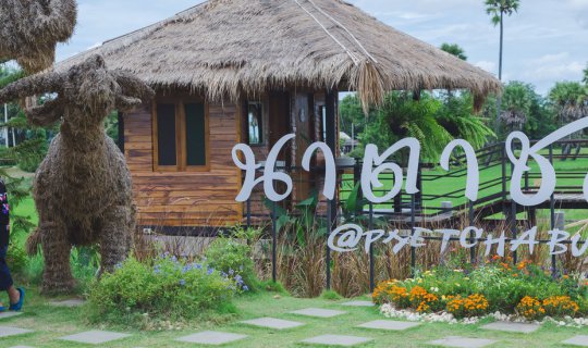 cover Natachom Coffee <นาตาชม คอฟฟี่>