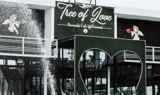 cover คาเฟ่นั่งชิล ริมแม่น้ำท่าจีน Tree of Love Riverside Café