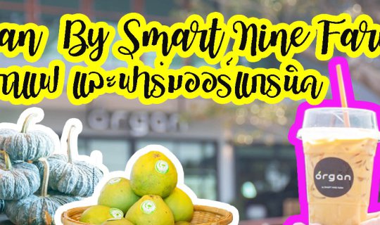 cover Smart Nine Farm และ ร้านกาแฟ Organ อีกหนึ่งบรรยากาศของฟาร์มออร์แกนิคจากแปลงเกษตรดีๆ ที่บางใหญ่ นนทบุรี แค่นี้เอง