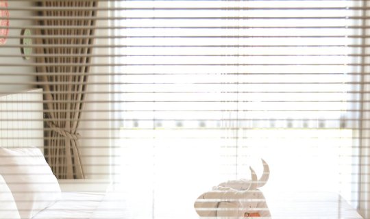 Cover นอนชิลล์ วิวดีย์ ที่ Cmor Boutique Hotel  เชียงใหม่...