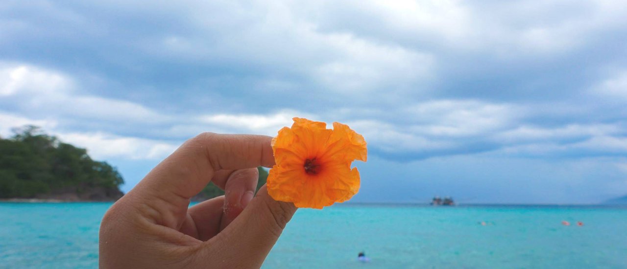 cover แบกเป้ไปเกาะช้างแบบดื้อรั้น