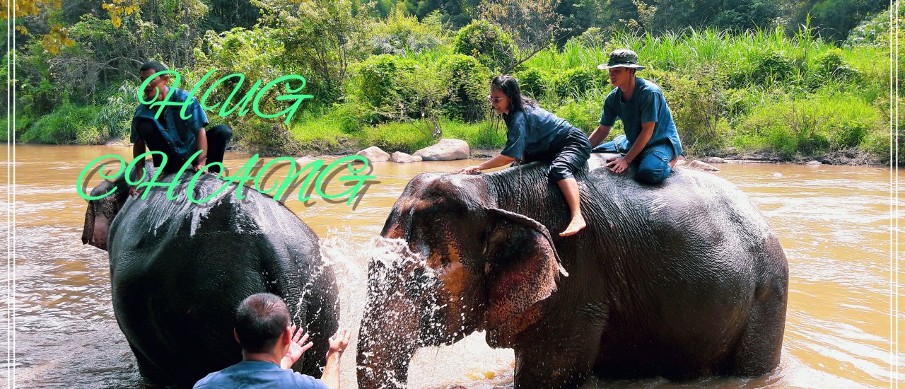 cover ปางฮักช้าง 💓🐘🐘 ชมวิถีชีวิตของช้าง อิงแอบสายน้ำและขุนเขา..Love elephant ^^