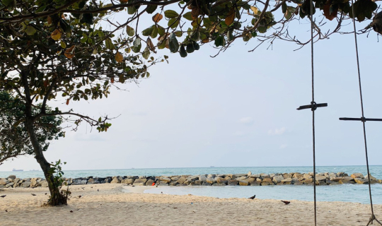 Cover When I Lose My Heart To The Sea "หาดเตยงาม สัตหีบ"...